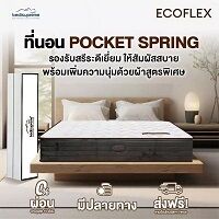 Bangkok, Business, ที่นอนยางพารา 8 ฟุต