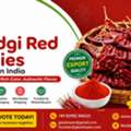 Dry Byadgi Red Chillies Exporter In India | Bulk Red Chilli Supplier | GLEE IMPEX