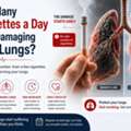 How Many Cigarettes A Day Start Damaging Your Lungs?