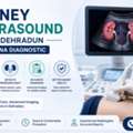 Kidney Ultrasound In Dehradun At Aarna Diagnostic