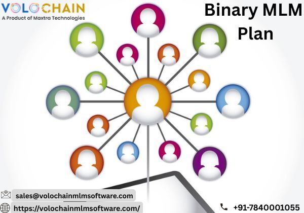Noida, Software Development, Volochain MLM Software &ndash; Professional Binary MLM Plan Software For Businesses