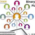 Volochain MLM Software &ndash; Professional Binary MLM Plan Software For Businesses