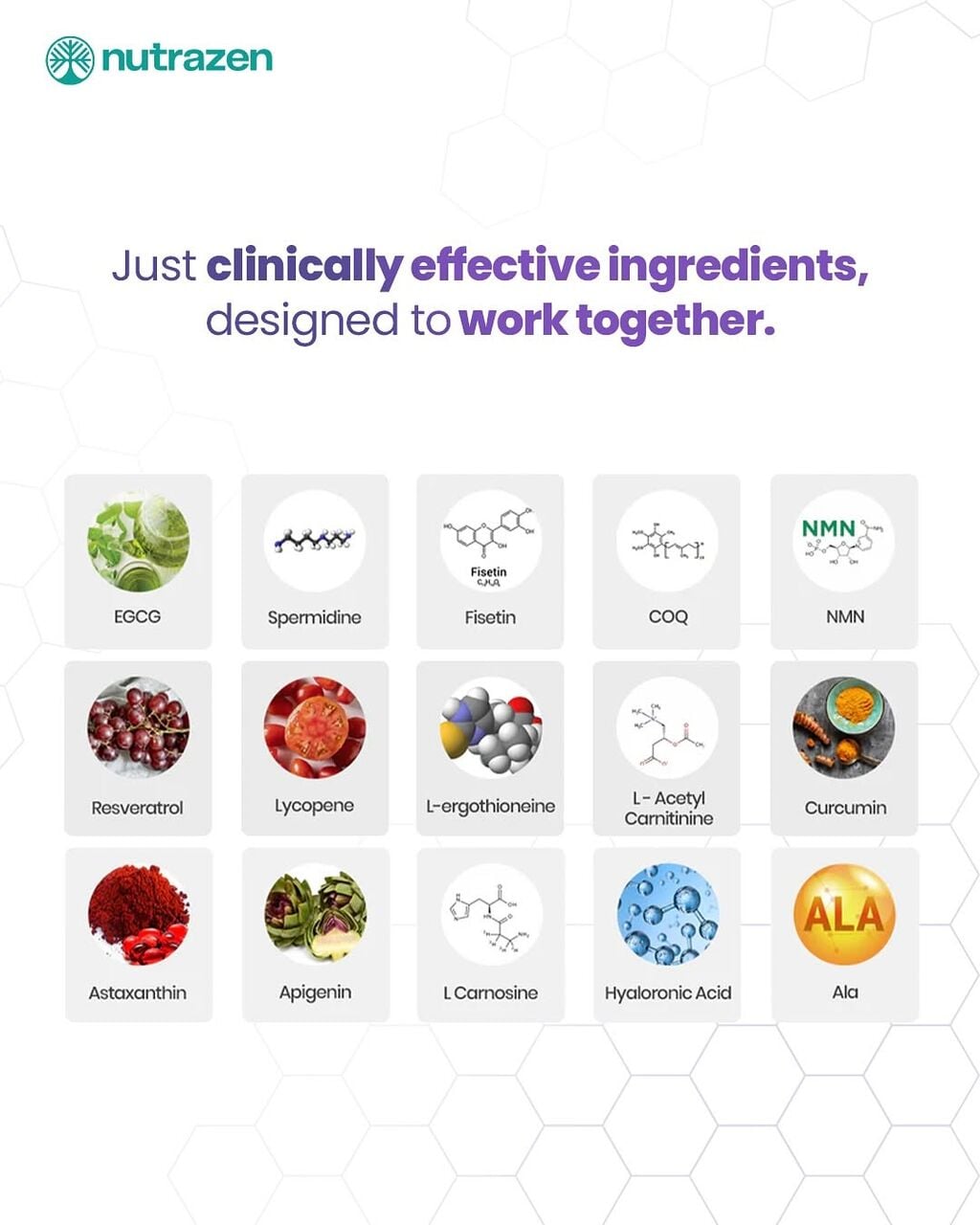 Gurugram, Food, Buy Best Supplements Online