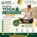Diploma In Yoga And Meditation (12 Months) | Yoga Course Certificate | NITPS