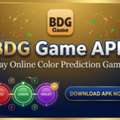 BDG Game APK: Play Online Color Prediction Games
