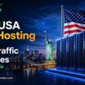Best USA VPS Hosting For High-Traffic Websites - Hostnetindia