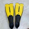 BHD 10, Flippers