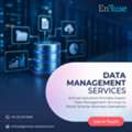 EnFuse Provides Data Management Services To Power Smarter Business Operations