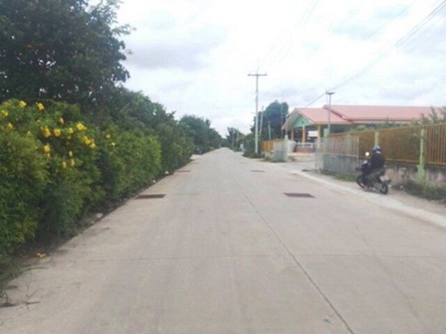 Bangkok, Villas, THB 35000,  1000 Sq. Feet,  Land For Rent In Amata Phan Thong, Chonburi. Purple Area (has 3-phase Electricity In