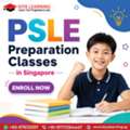 PSLE Preparation Classes In Singapore
