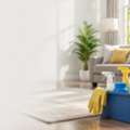House Cleaning Services Brookline MA: Professional Cleaning For Every Home