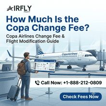 New York, Travel, How Much Is The Copa Change Fee?