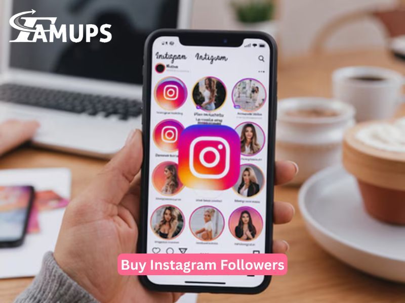 Los Angeles, Business, Important Factors To Consider When You Buy Instagram Followers