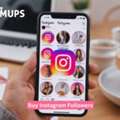 Important Factors To Consider When You Buy Instagram Followers