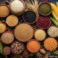 Top Grains Exporter In India – Premium Grain Export Solutions By Glee Impex
