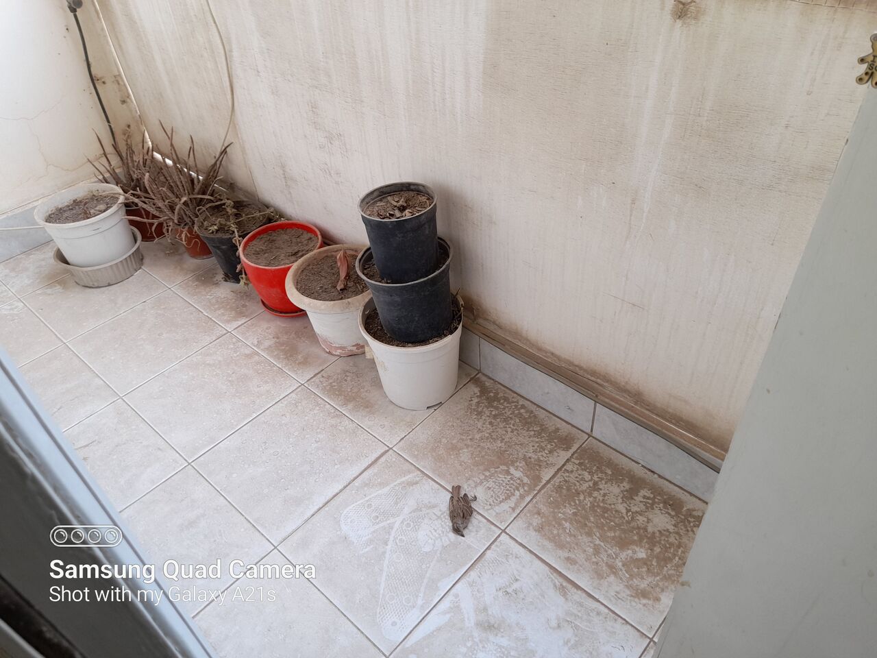 Adliya, Apartments, Flats, Houses & Villas, BHD 250/month,  Furnished,  2 BR,  80 Sq. Meter,  2 Bedroom With EWA/Closed Kitchen