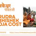 Get Divine Rudra Abhishek And Maha Mrityunjaya Puja Guidance