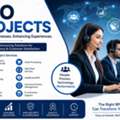 Professional BPO Project Solutions In Delhi NCR Noida