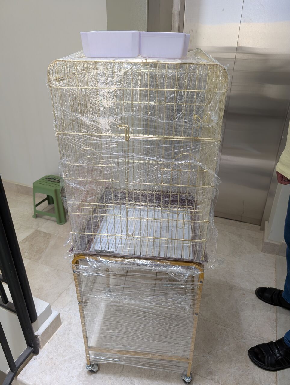 Riyadh, Pet Supplies, SAR 160,  Golden Bird Cage