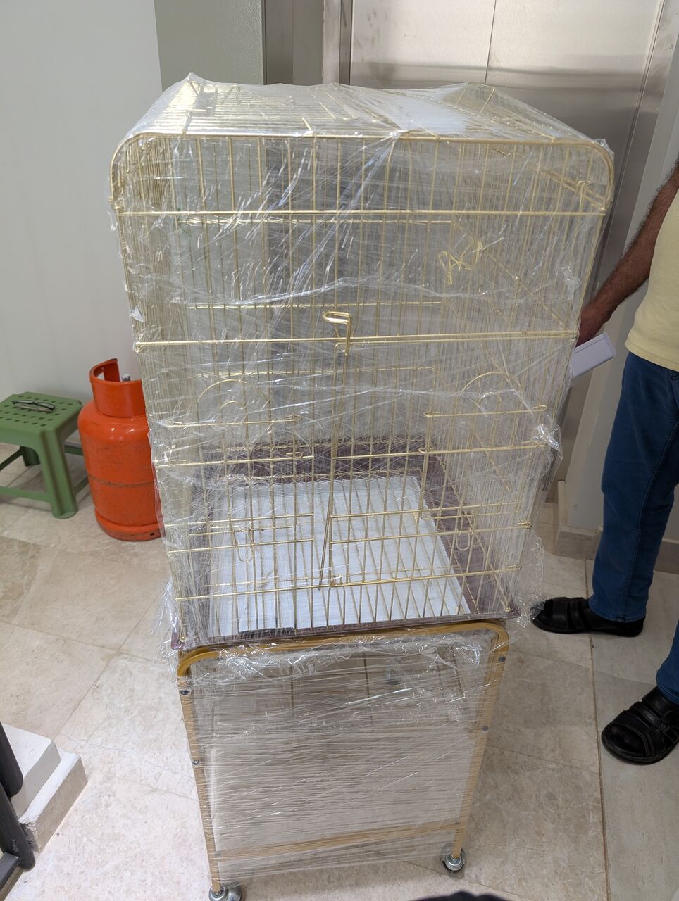 Riyadh, Pet Supplies, SAR 160,  Golden Bird Cage