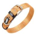 INR 299,  Durable Nylon Dog Collar For Daily Walks