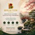 Briston World &ndash; A Luxury Upcoming Property Worth Watching