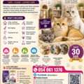 Home Day Care For Cats In Riyadh