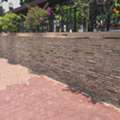 Professional Agriculture, Landscaping & Irrigation Subcontractor Available In Riyadh