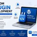 INR 2000,  Custom WordPress Plugin Development Services For Every Business