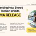Understanding How Stored Physical Tension Inhibits Trauma Release