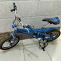 SAR 100,  Cycle