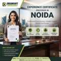 Experience Certificate Provider In Noida &ndash; Trusted Documentation Services For Professional