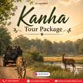 Kanha Tour Package