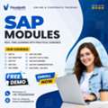 Master SAP Skills With Visualpath Free Live Demo
