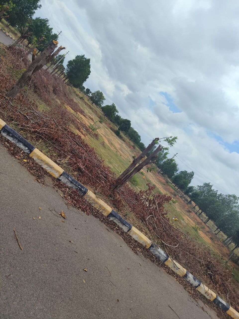 Hyderabad, Residential Plots, INR 13000,  183 Sq. Yard,  DTCP & RERA  FINAL APPROVED Open Plots For Sale @ Yacharam