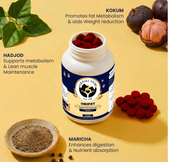 Mumbai, Pet Supplies, INR 899,  Appetite Control For Dogs Naturally
