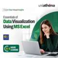 Excel From Beginner To Advanced Concepts | UniAthena