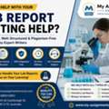 Lab Report Writing Help | Expert Academic Writers For High-Quality Reports