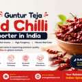 Guntur Teja Red Chilli Exporter In India