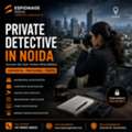 Private Detective In Noida | Professional Investigation Services | Espionage India