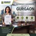 Professional Experience Certificate Services In Gurgaon