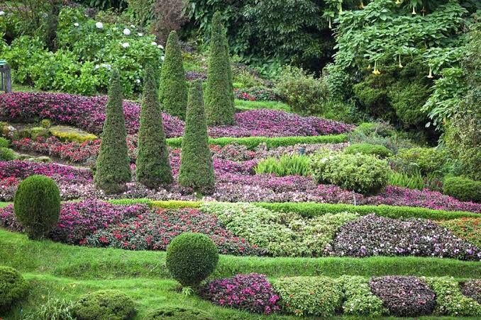 Jeddah, Farm/Garden, Gardner