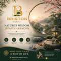 Briston World &ndash; Living Close To Global Industry, Neemrana