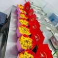 Restaurant Setup & Burger Making Services