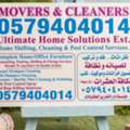 Sofa Carpet Cleaner And Pest Control Spray And Bed Bug's Killing Solution 285&radic;&radic;