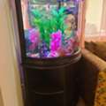 SAR 500,  Aquarium
