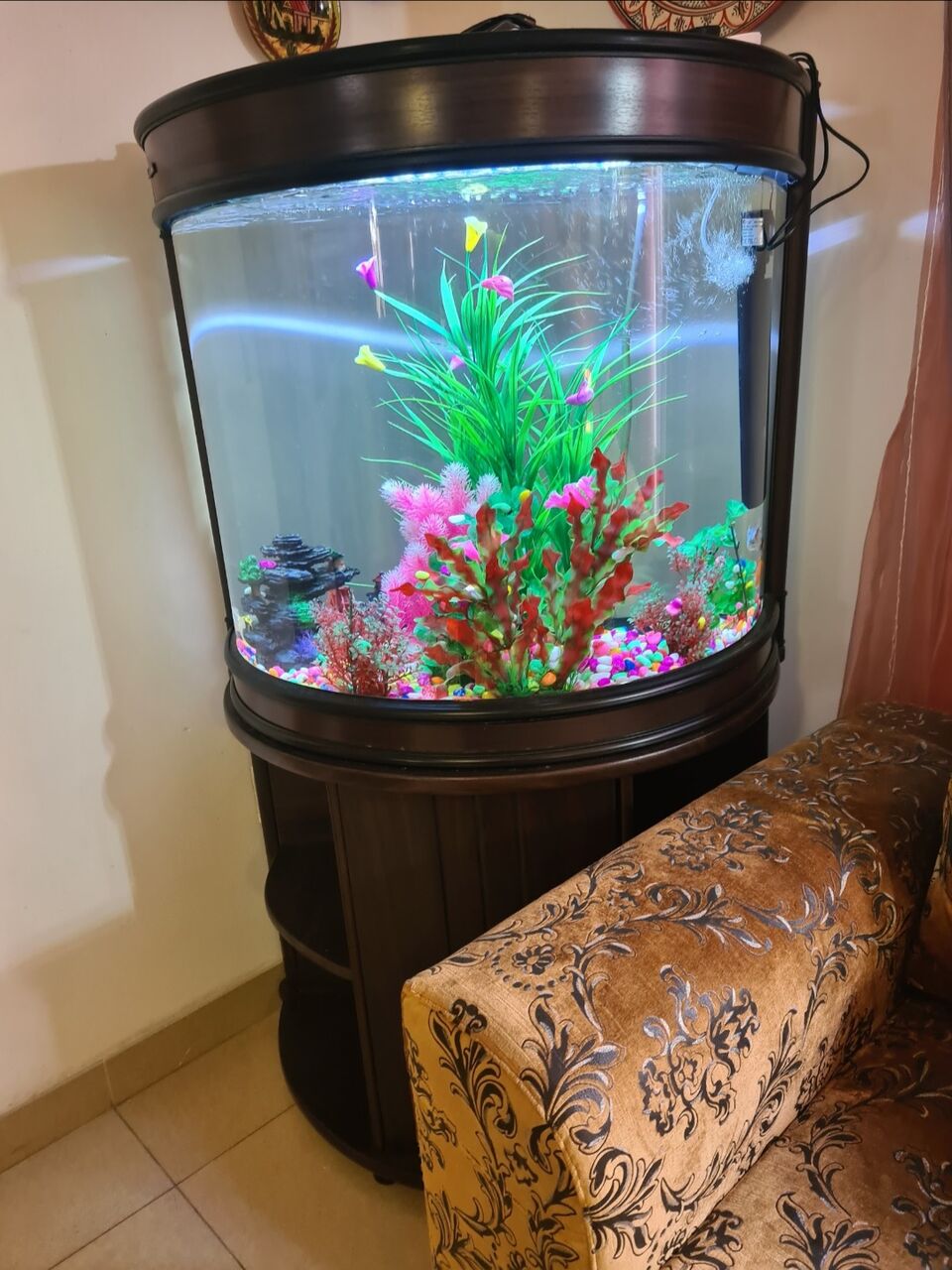 Al Sulaymaniyyah, Furniture, SAR 500,  Aquarium