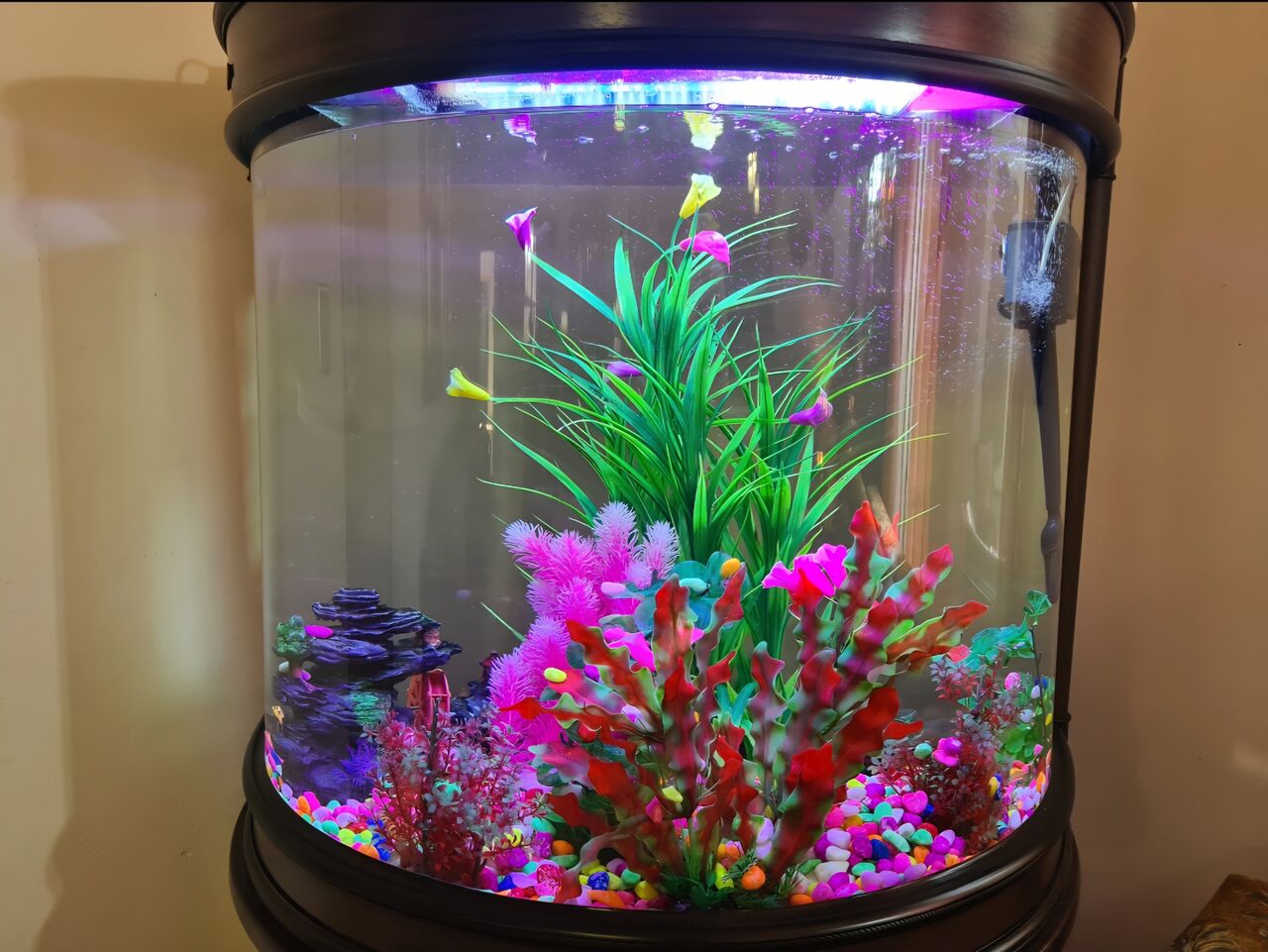 Al Sulaymaniyyah, Furniture, SAR 500,  Aquarium