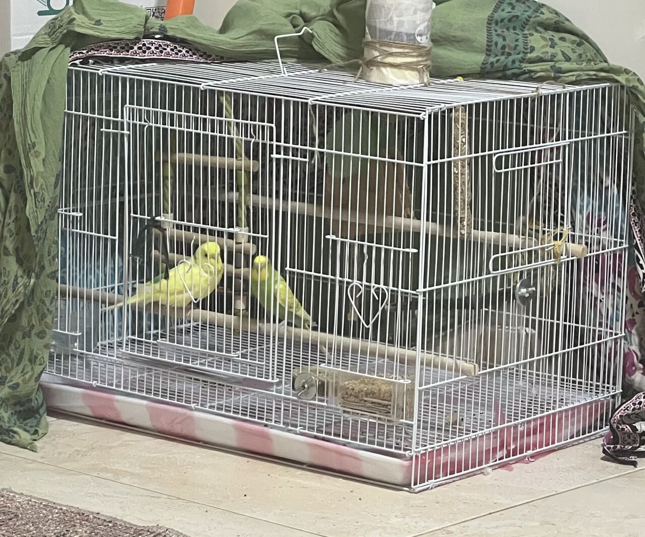 Riyadh, Household Items, SAR 200,  Pets - Pair Of Buggies For Sale