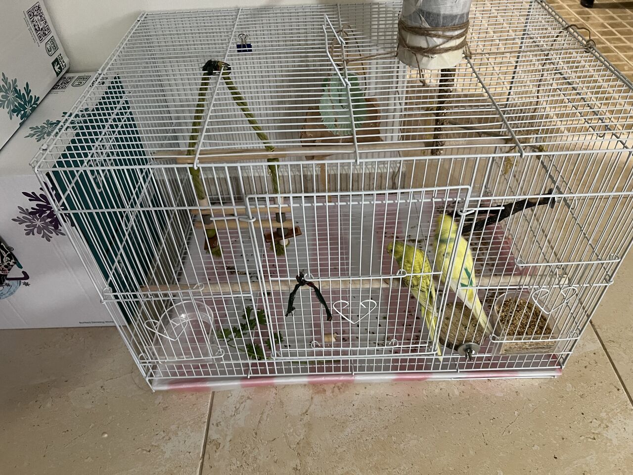 Riyadh, Household Items, SAR 200,  Pets - Pair Of Buggies For Sale